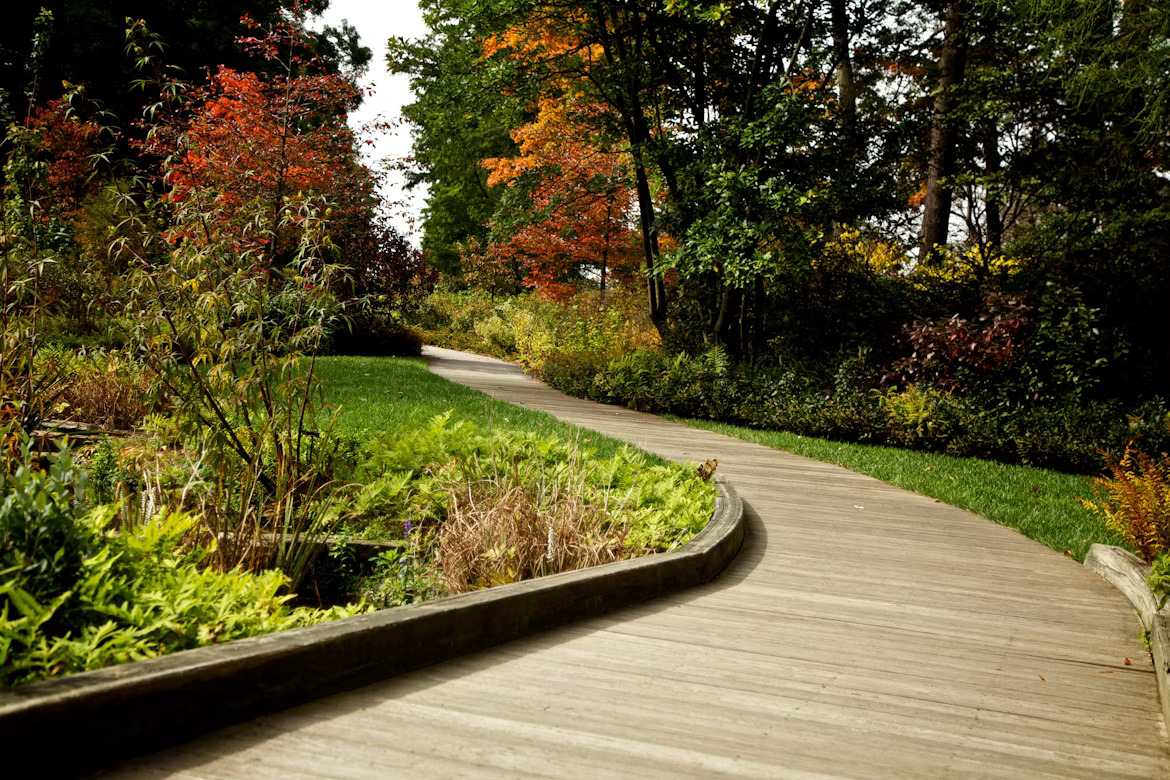 Boosting Garden Plot Appeal with Smart Landscaping